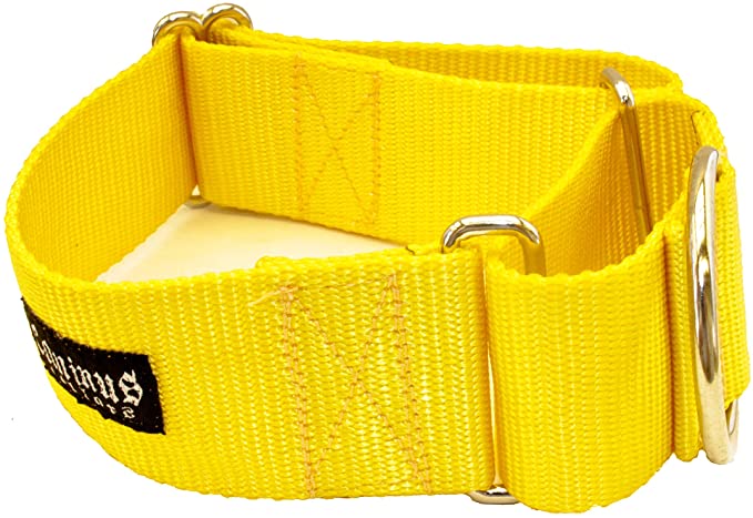 1 1/2 Inch Width Martingale Dog Collars - Heavy Duty Nylon (1.5" Width Dog Collars