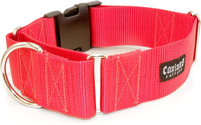 1 1/2 Inch Width Martingale w/Buckle Dog Collars - Heavy Duty Nylon (1.5" Width Dog Collars