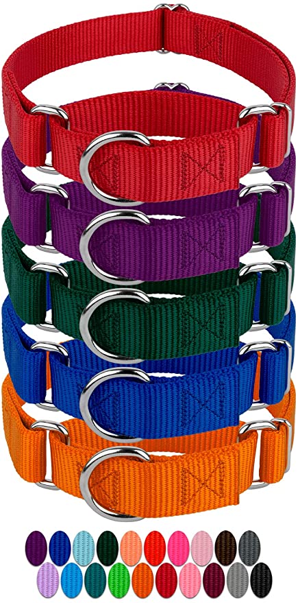 10 - Country Brook Design | 1 1/2 Inch Martingale Heavyduty Nylon Dog Collars