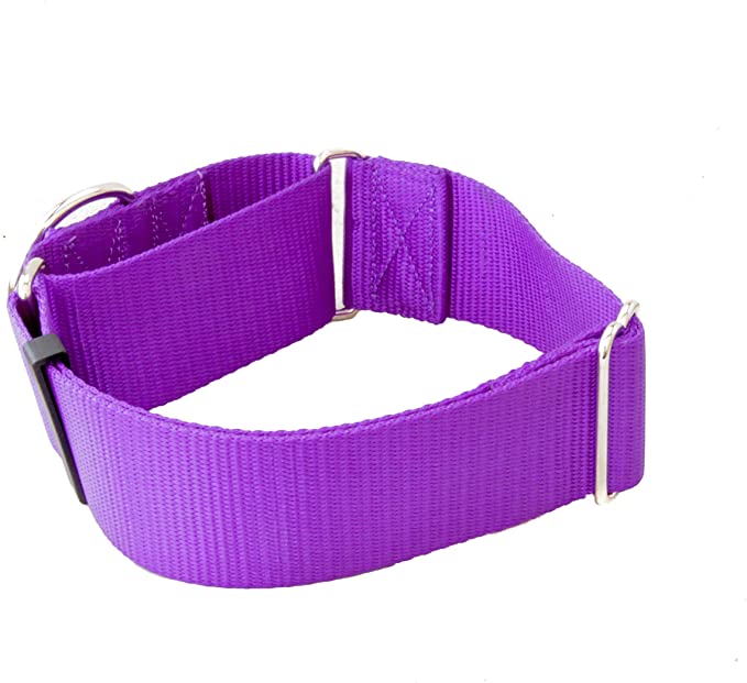 2 Inch Width Martingale Dog Collars - Heavy Duty Nylon (2" Width Dog Collars - Purple