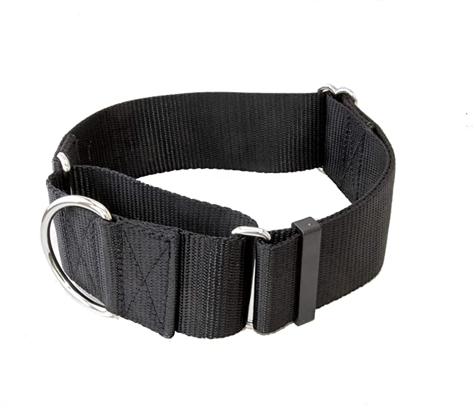 2 Inch Width Martingale Dog Collars - Heavy Duty Nylon (2" Width Dog Collars - Black