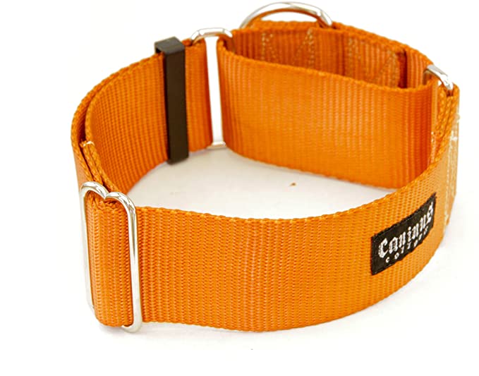 2 Inch Width Martingale Dog Collars - Heavy Duty Nylon (2" Width Dog Collars