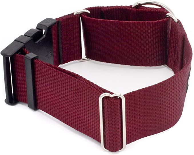 2 Inch Width Martingale w/Buckle Dog Collars