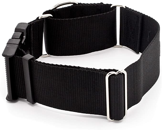2 Inch Width Martingale w/Buckle Dog Collars - Heavy Duty Nylon (2" Width Dog Collars - Black