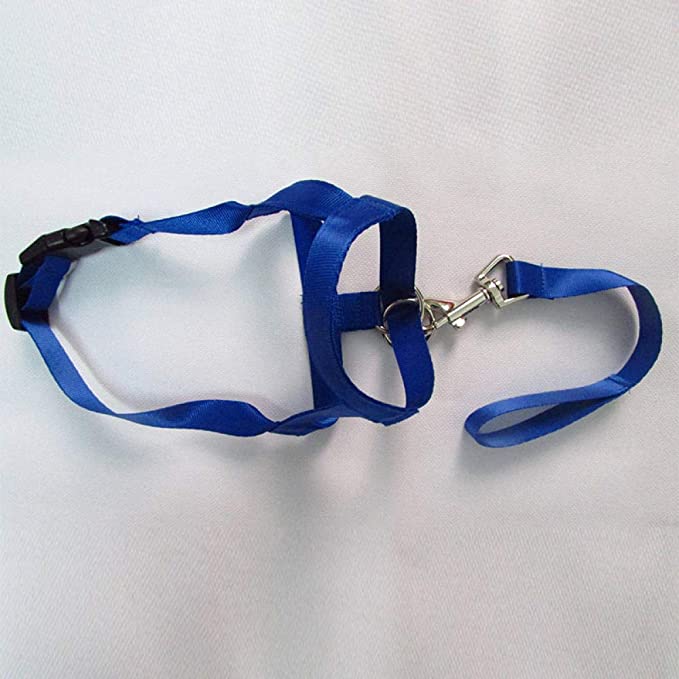 Adjustable Leader Belt Dog Collar No Pull Bite Straps Harness Headcollar Muzzle Dog Leash Leader Classic Collar-Blue_XL