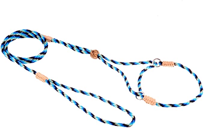 Alvalley Nylon Martingale Show Lead for Dogs 4mm X 42in x 8in Collar