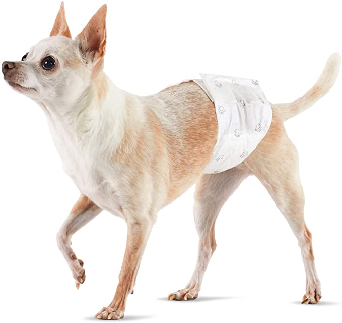 Amazon Basics Male Dog Wrap, Disposable Diapers, X-Small - Pack of 50