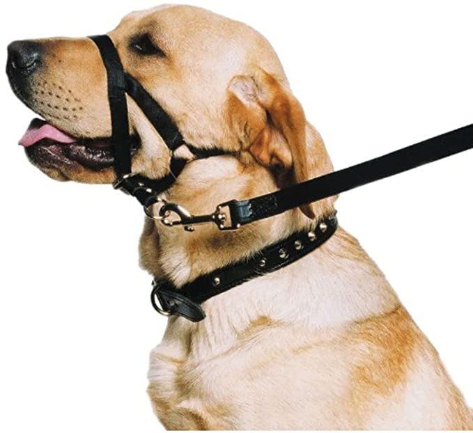 Ancol Dog Training Halter Head Collar