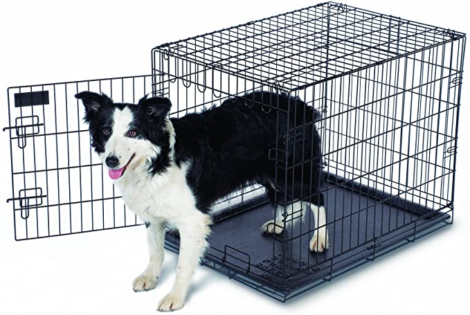 Aspen Pet Home Training Wire Crate, Black