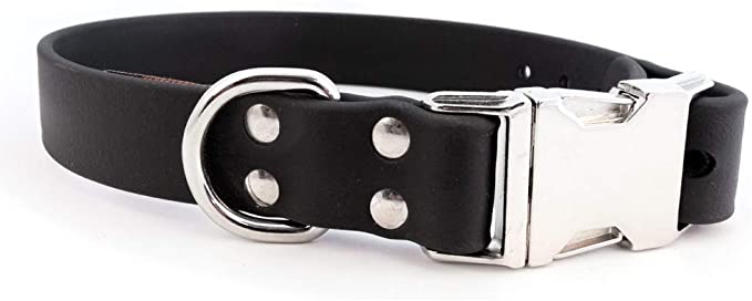Auburn Leathercrafters Sparky's Choice Dog Collar Size: 0.75" x 14", Color: Black
