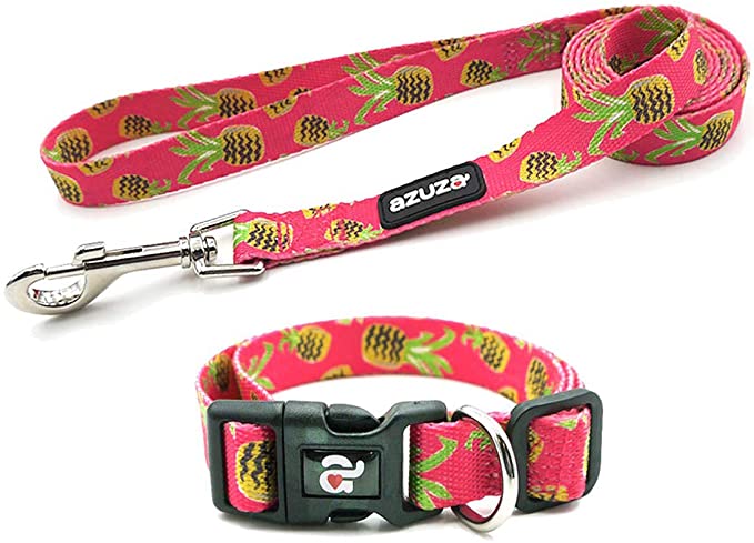 azuza Dog Collar and Leash Set, Cute Fruit Patterns on Bright Collar Nylon and Matching Leash
