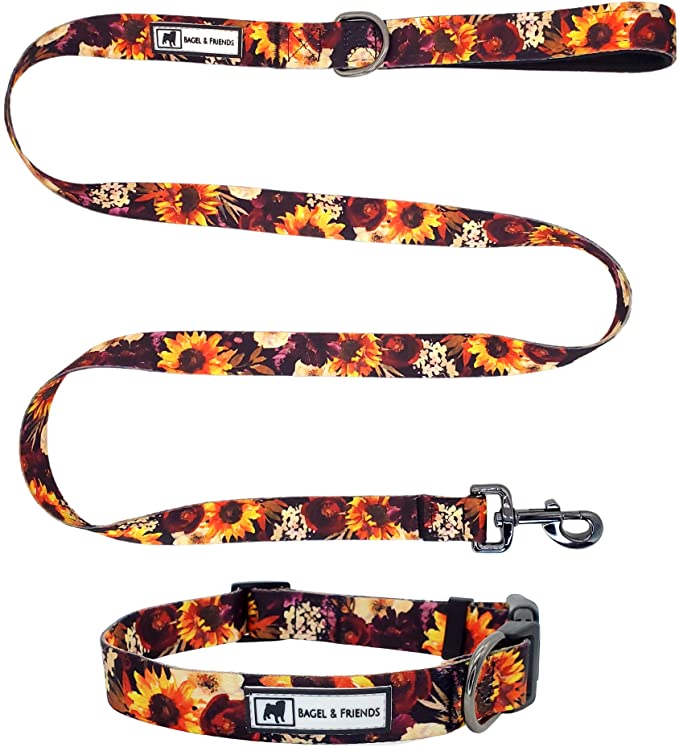 Bagel & Friends Matching Dog Collar Leash Sets, Premium Quality