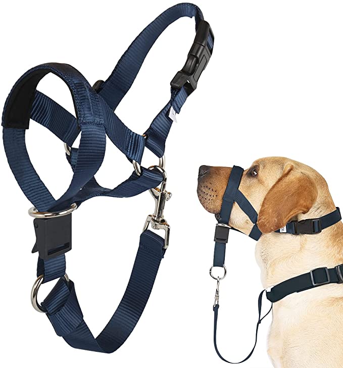 Barkless Dog Head Collar, No Pull Head Halter for Dogs, Adjustable - Navy Blue