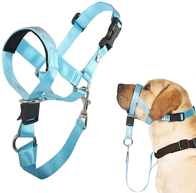 Barkless Dog Head Collar, No Pull Head Halter for Dogs, Adjustable - Light Blue