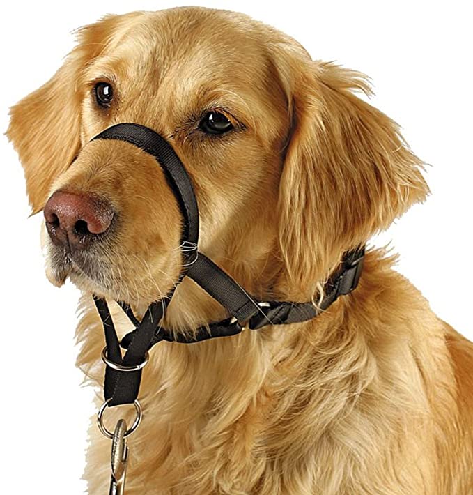 BARKLESS Dog Head Collar, No Pull Training Tool for Dogs on Walks - Solid