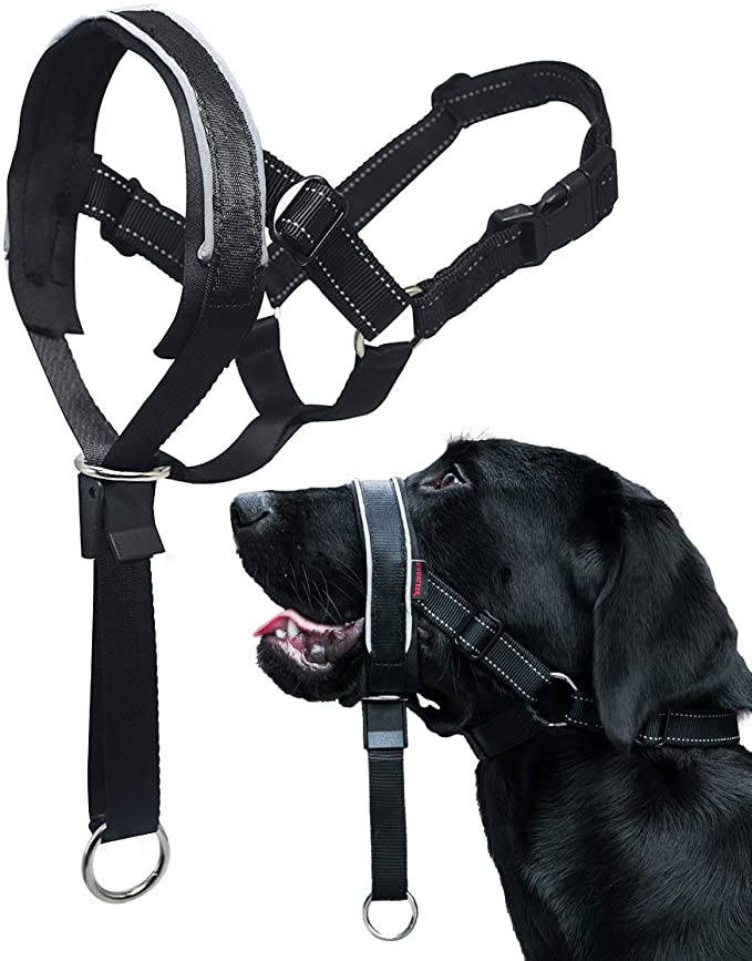 BARKLESS Head Collar, Head Halter Collar for Dogs