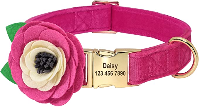 Beirui Soft Velvet Girl Dog Collars with Removable Flower Accessories