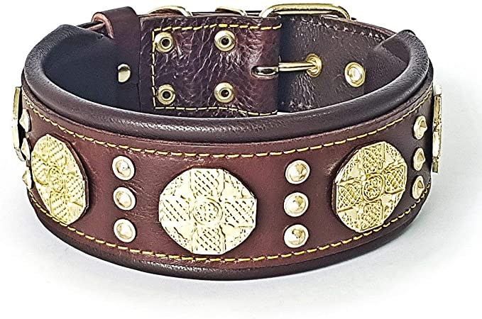 Bestia Maximus genuine leather dog collar, Large breeds, cane corso, Rottweiler - Brown & Gold