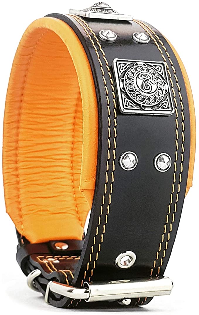 Bestia The Black Eros Collar for Big Dogs. 2.5 inch Wide & Soft Padded - Orange Cushion