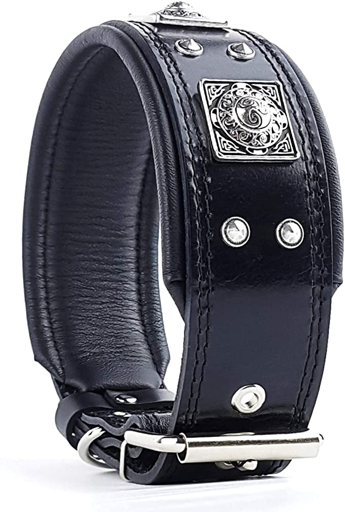 Bestia The Black Eros Collar for Big Dogs. 2.5 inch Wide & Soft Padded - Black Cushion