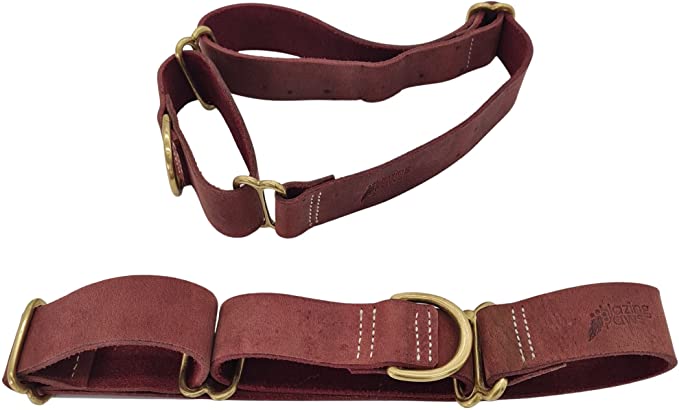 BlazingPaws Vibrania Martingale Slip-On Super Soft Distressed Leather Dog Collar for Large XL XXL Dogs