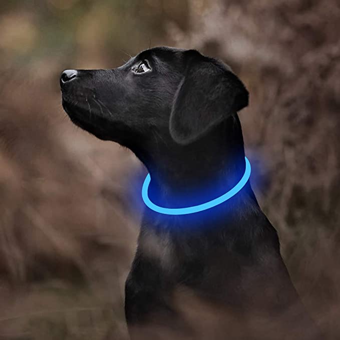 Bseen LED Dog Collar- USB Rechargeable- Light Up Dog Collars - Cuttable Size