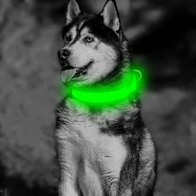 BSEEN LED Dog Collar, USB Rechargeable Light Up Safety Collar Adjustable Nylon Pet Collar with Metal Buckle Waterproof