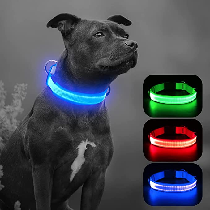 BSEEN Light up Dog Collar - USB Rechargeable Glowing LED Dog Collar