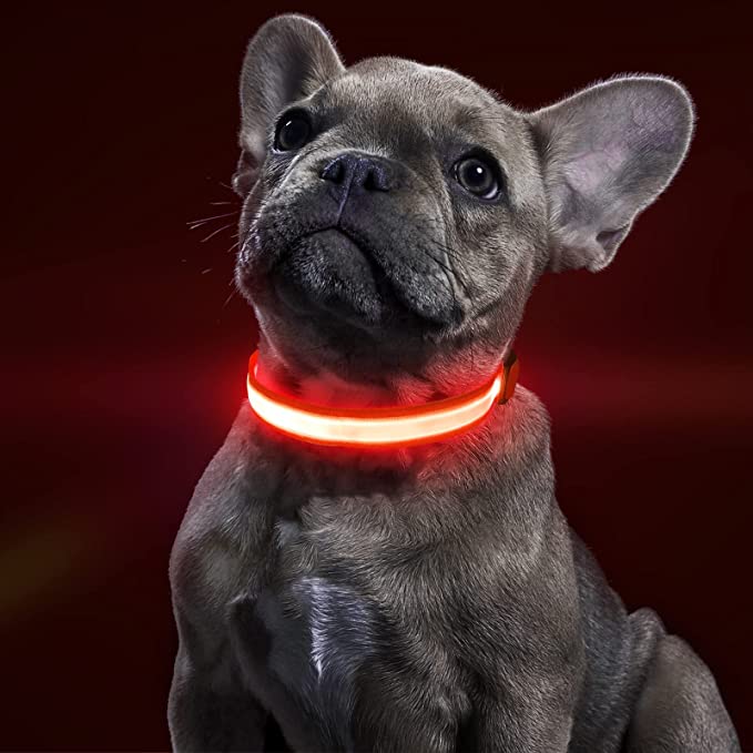 BSEEN Light Up Dog Collar - Water-Resistant Reflective LED Lighted Puppy Collars