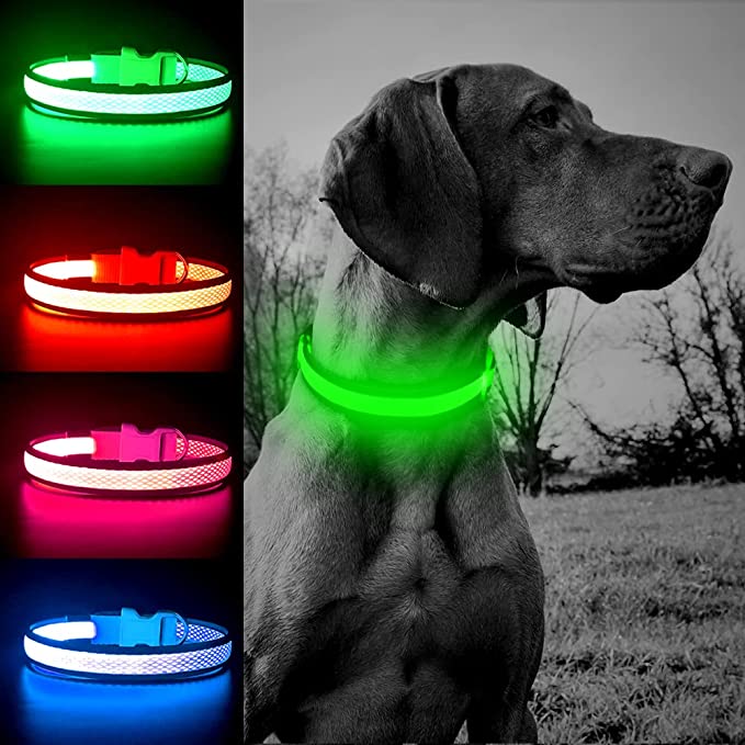 BSEEN Light Up Dog Collars - Reflective Safety Puppy Collar USB Rechargeable Adjustable Camping Gear LED Dog Collar for Small Medium Large Dogs