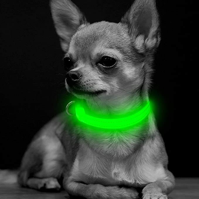 BSEEN XS LED Dog Collar - Adjustable USB Rechargeable Glowing Pet Collar, Light Up Collars for Small Dogs& Cats