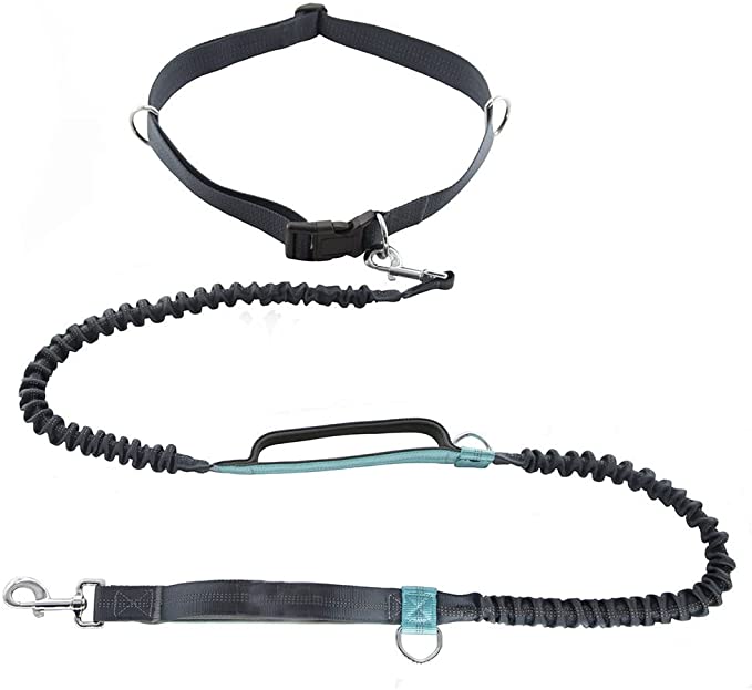 Bungee Cord Material Telescopic Double Handle Lead Belt Shock Absorption Running Training Hands-Free Reflection Suitable for Large and Medium-Sized pet Dogs