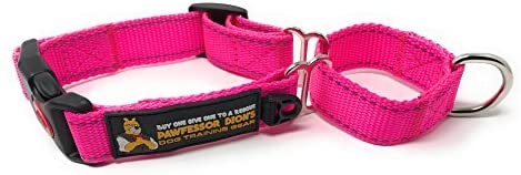 Buy One Give One To A Rescue Pawfessor Dion's Dog Training Gear Pawfessor Dion's Reflective Nylon Martingale Training Dog Collar - Buy One and We Donate One to a Dog Rescue