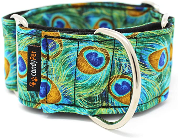 CandyPet AN10026-001 Peacock Martingale Collar 4 cm