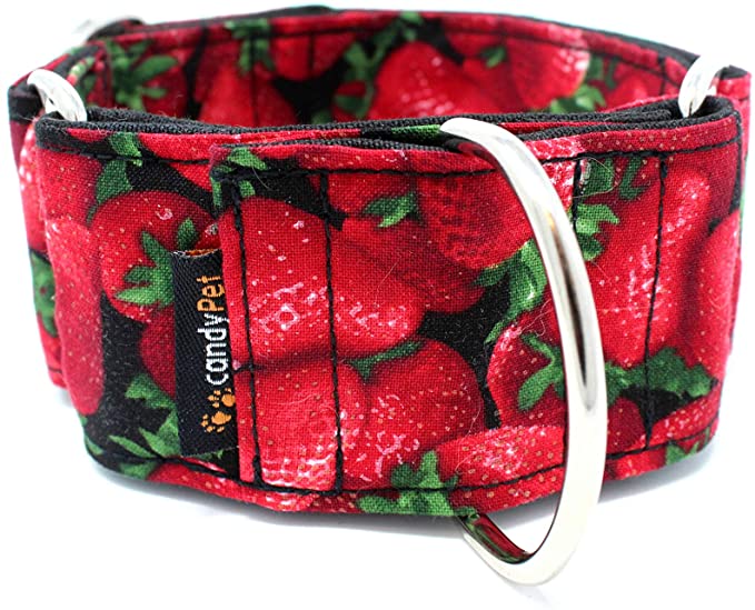 candyPet Martingale Dog Collar - Strawberries Model