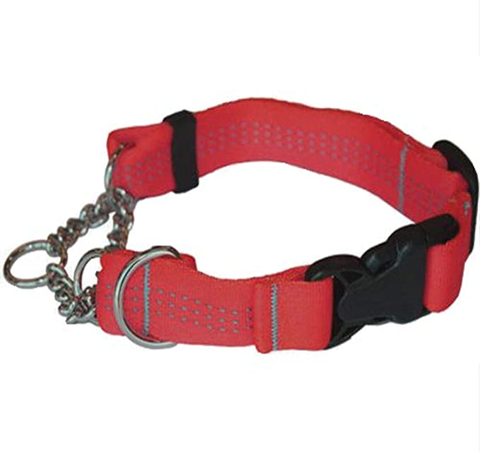 Canine Equipment Technika Quick Release Martingale Dog Collar - 1.25 x 1.25 x 12 inc