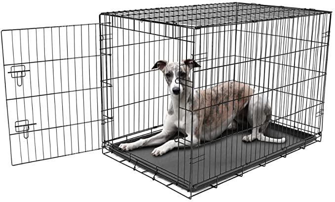 Carlson Pet Products Secure and Foldable Single Door Metal Dog Crate - 42 x 28 x 30 inches