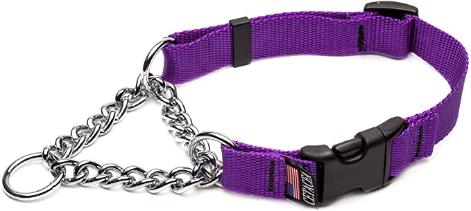 Cetacea Chain Martingale Collar with Quick Release