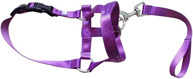 CFSAFAA Leash Nylon Dog Head Collar Pet Gentle Leader No Pain No Pull Control Training Leash Adjustable Harness Halter Training Nose Reigns Classic (Color : Blue, Size : M) Pet Leash (Color : Purple)