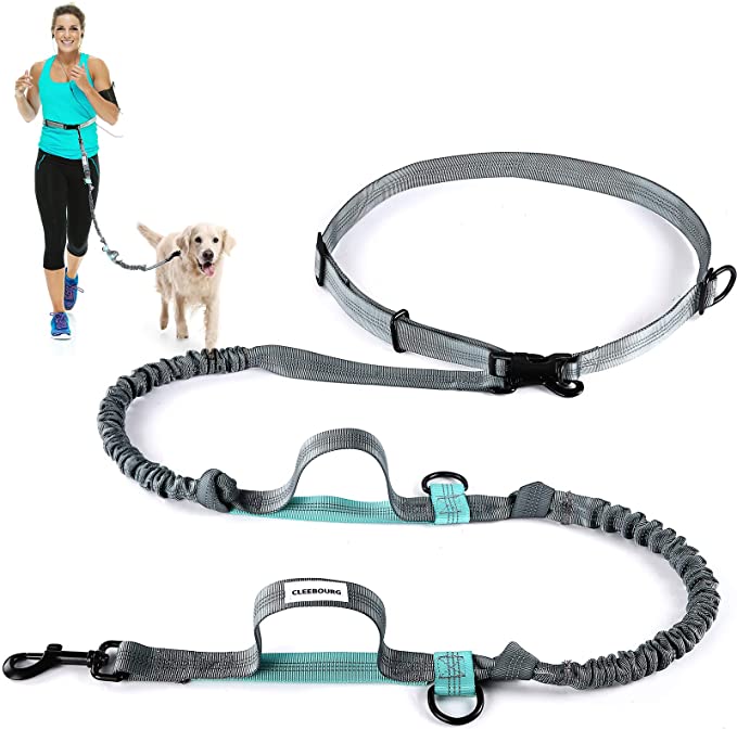 CLEEB-BOUG Retractable Hands Free Dog Leash with Dual Bungees for up to 150 lbs Large Dogs, Adjustable Waist Belt, Padded Handle, Reflective Stitches for Training Running Jogging Walking