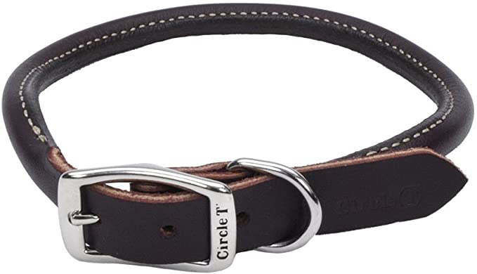 Coastal - Circle T - Latigo Leather Round Dog Collar, Latigo, 3/4" x 20''
