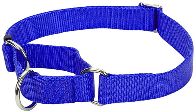 Coastal - No Slip - Martingale Adjustable Dog Collar, Blue, 1" x 17"-24"