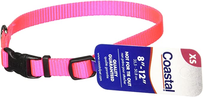 Coastal Pet Products DCP6301NPK 3/8-Inch Nylon Adjustable Dog Collar, X-Small, Neon Pink