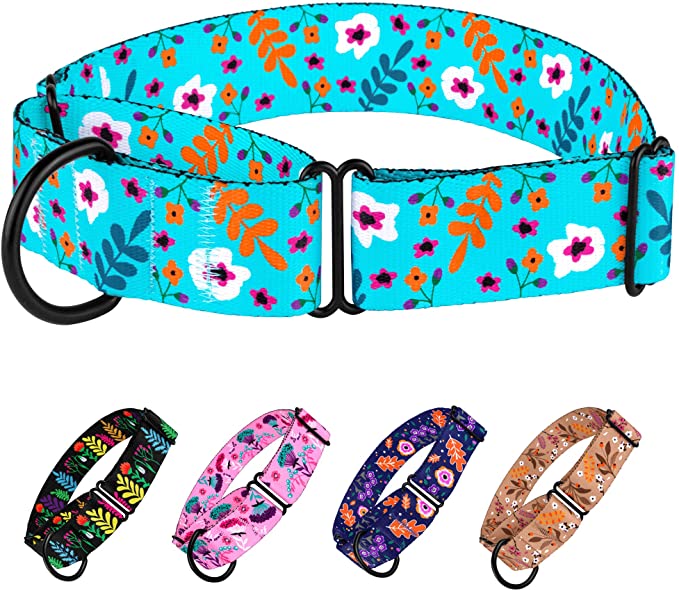 CollarDirect Martingale Collars for Dogs Heavy Duty Floral Pattern Female Safety Nylon Training Wide Collar Flower Design Large Medium