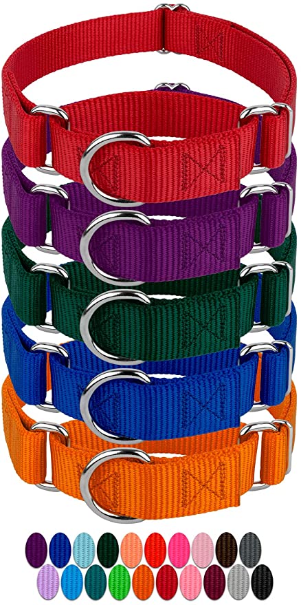 Country Brook Design 10 Martingale Heavy Duty Nylon Dog Collar - 20 Vibrant Color Options