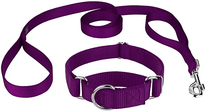 Country Brook Design - Martingale Heavyduty Nylon Dog Collar and Double Handle Leash - Purple