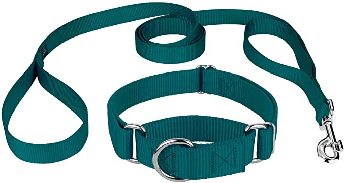 Country Brook Design - Martingale Heavyduty Nylon Dog Collar and Double Handle Leash