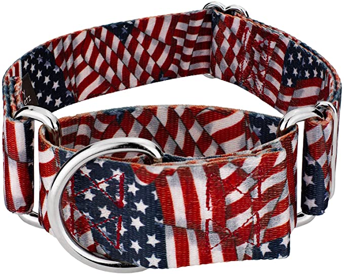 Country Brook Petz -1 1/2 Inch Martingale Dog Collar - American Pride Collection