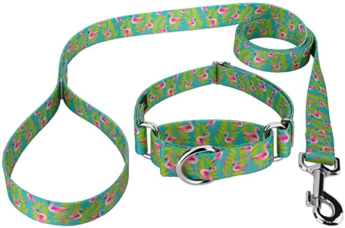 Country Brook Petz - Martingale Collar and Leash - Animal Collection with 13 Wild Designs
