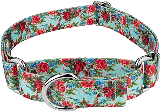 Country Brook Petz Martingale Dog Collar - Floral Collection with 8 Charming Designs - Vintage Roses